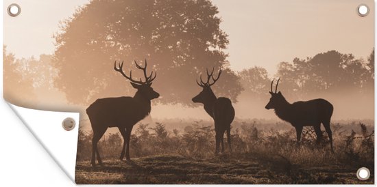 Tuinposter Herten - Mist - Bos - 60x30 cm - Tuindoek - Buitenposter