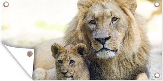 Affiche de clôture Lion - Cub - Portrait - 200x100 cm - Toile de jardin