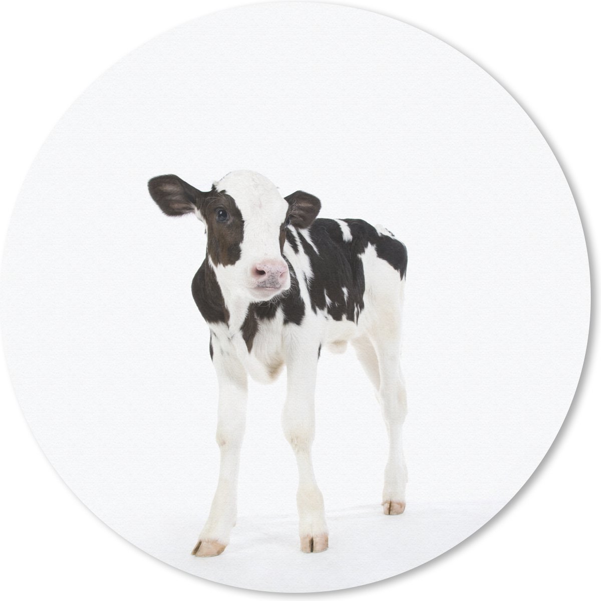 Muismat rond 40x40 cm - Mousepad Koe - Kalf - Wit - Dieren - Ronde muismatten