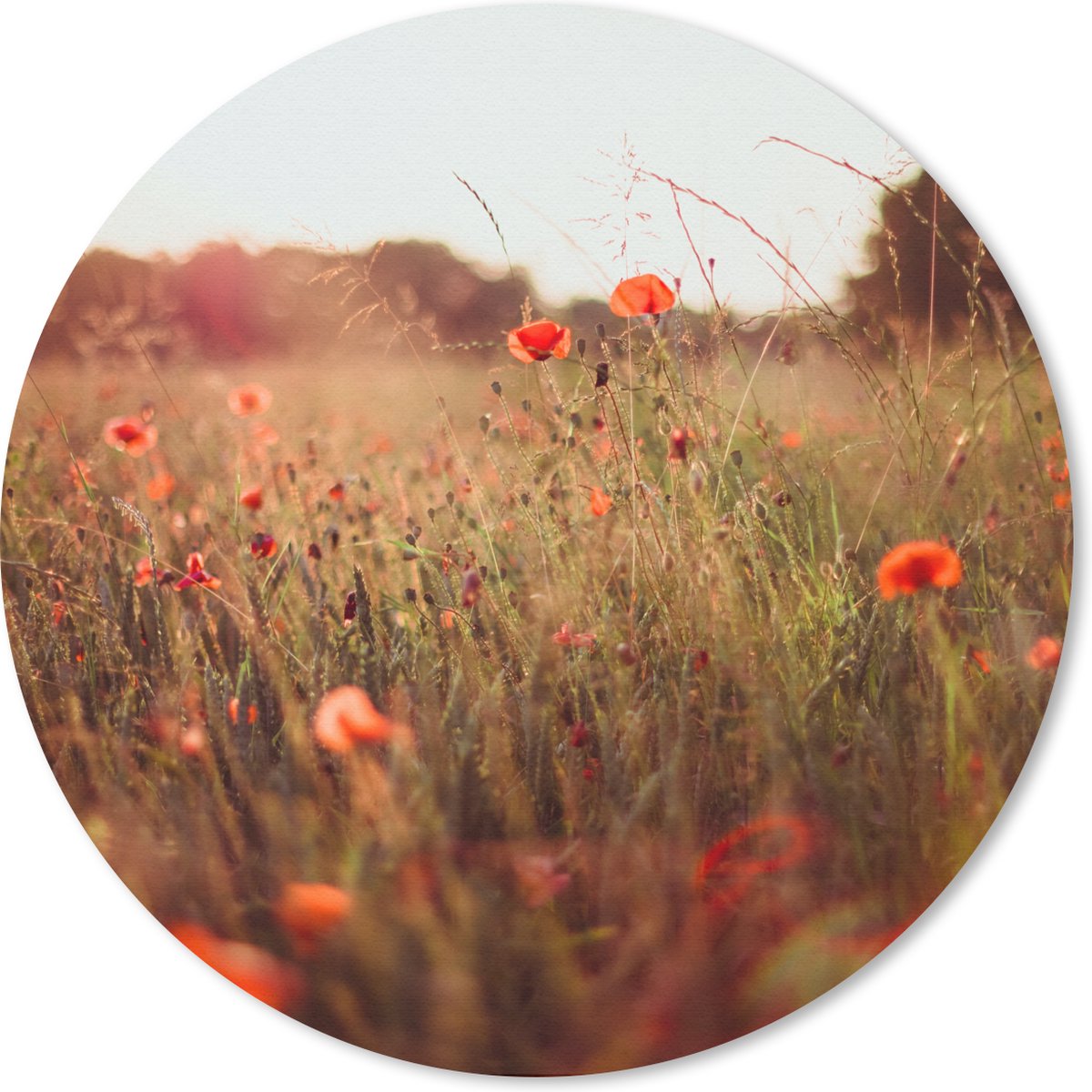 Muismat rond 40x40 cm - Mousepad Zonsondergang - Bloemen - Rood - Ronde muismatten