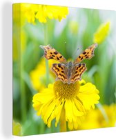 Tableau sur toile Un papillon sur un aster jaune - 20x20 cm - Décoration murale