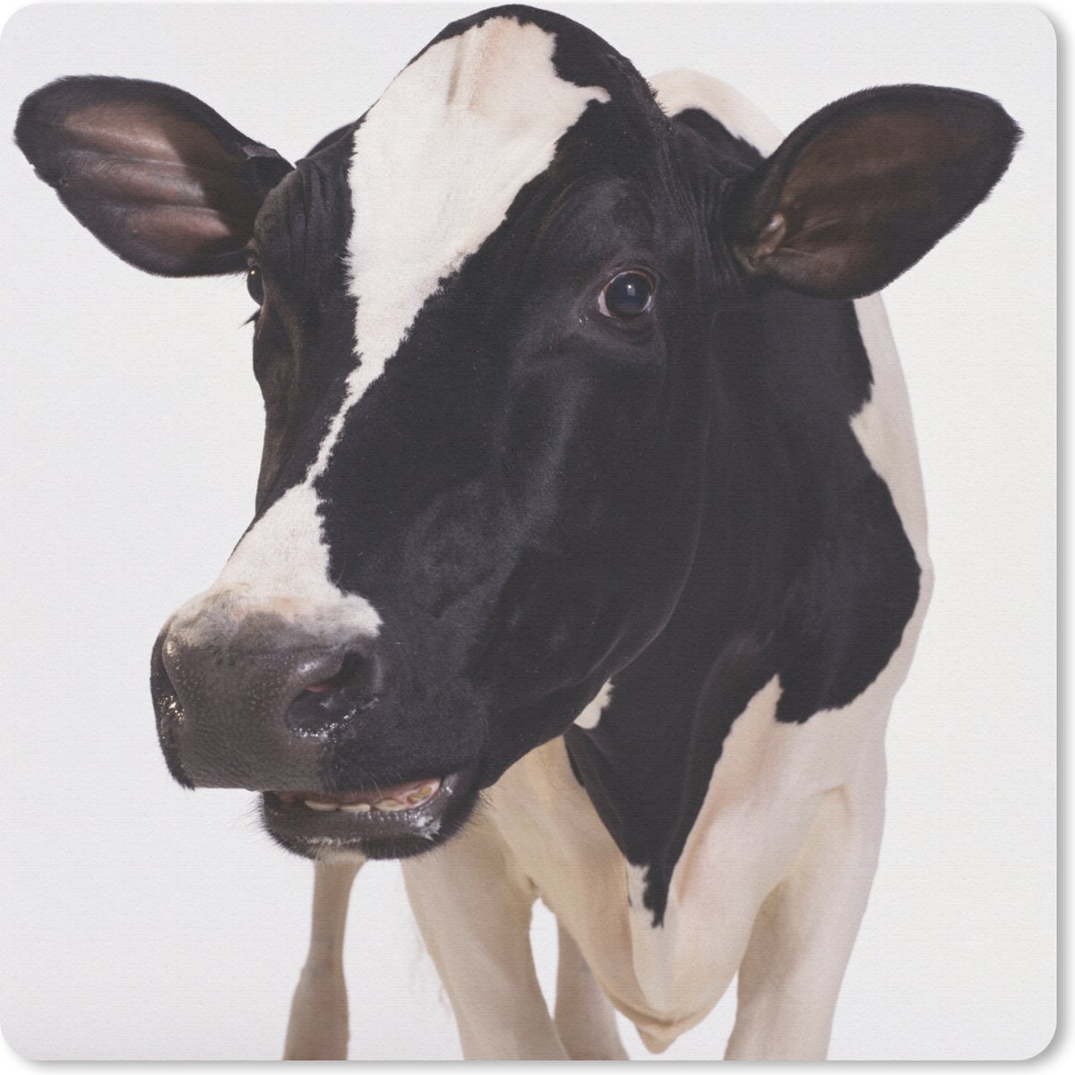 Muismat 30x30 cm - Mousepad Koe - Wit - Dieren - Zwart - Muismatten