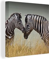 Canvas Schilderij Moeder zebra en haar jong - 20x20 cm - Wanddecoratie