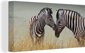 Canvas Schilderij Moeder zebra en haar jong - 40x20 cm - Wanddecoratie