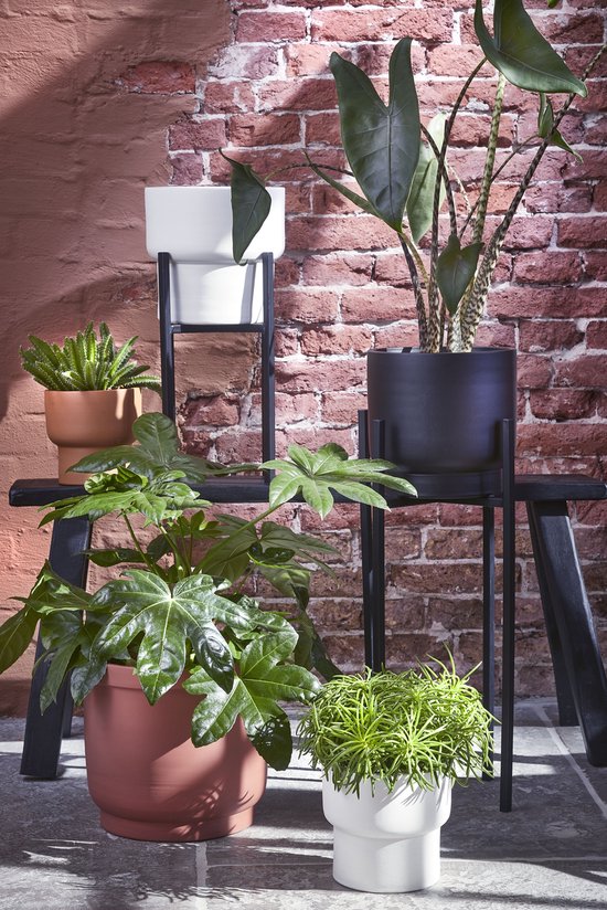 Mica Decorations Support pour Plantes Ascot XL L37,5 x L37,5 x H71 cm