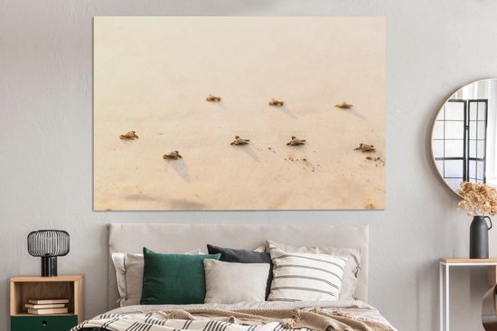 Canvas schilderij 180x120 cm - Wanddecoratie Baby schildpadden fotoprint - Muurdecoratie woonkamer - Slaapkamer decoratie - Kamer accessoires - Schilderijen