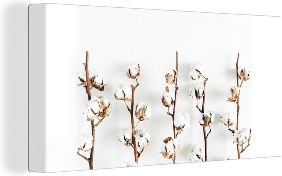 Canvas Schilderij Katoen - Wit - Natuur - 40x20 cm - Wanddecoratie