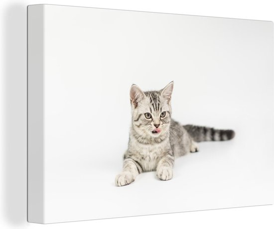 Canvas Schilderij Kitten - Wit - Tong - Wanddecoratie