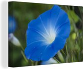 Orchidée bleue sur fond délavé Toile 30x20 cm - petit - Tirage photo sur toile (Décoration murale salon / chambre) / Peintures Fleurs sur toile