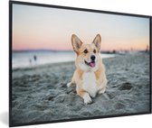 Affiche avec cadre Chien sur la plage - 60x40 cm