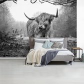 Behang - Fotobehang Schotse Hooglander - Bos - Mist - Koe - Dieren - Natuur - Breedte 375 cm x hoogte 280 cm