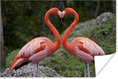 Poster Twee flamingo's vormen een hart - 30x20 cm