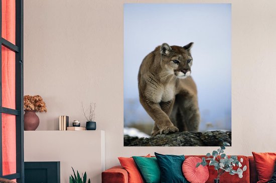 Poster Puma on rock 120x180 cm - Tirage photo sur Poster (décoration murale salon / chambre) / Poster Animaux XXL / Groot format!