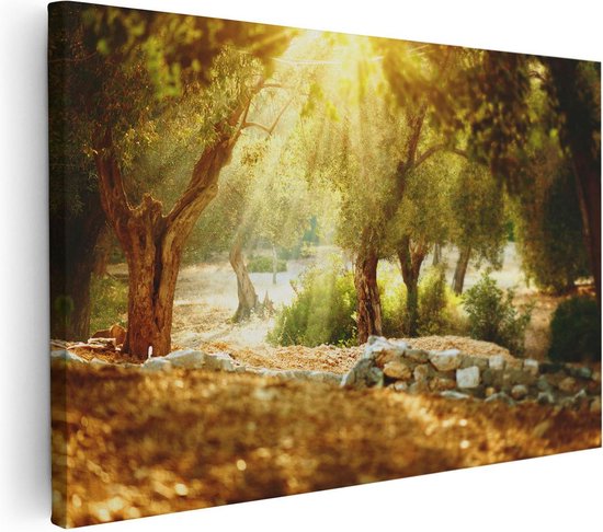 Artaza - peinture sur toile - Oliviers - verger d'oliviers - 120 x 80 - Groot - photo sur toile - impression sur toile