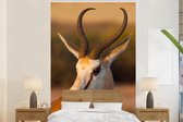 Papier peint photo en vinyle - Gros plan d'une Gazelle au coucher du soleil largeur 155 cm x hauteur 240 cm - Tirage photo sur papier peint (disponible en 7 tailles)