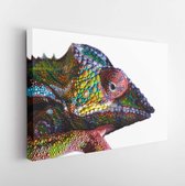 Onlinecanvas - Schilderij - Chameleon Geïsoleerd De Witte Achtergrond Art Horizontaal Horizontal - Multicolor - 80 X 60 Cm