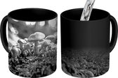 Magische Mok - Foto op Warmte Mok - Close-up van een aantal paddenstoelen - zwart wit - 350 ML