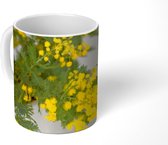 Mok - Gele mimosa planten met groene bladeren in een grote pot - 350 ML - Beker