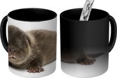 Magische Mok - Foto op Warmte Mokken - Koffiemok - Otter jong op witte achtergrond - Magic Mok - Beker - 350 ML - Theemok