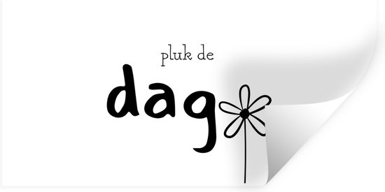 Muurstickers - Sticker Folie - Quotes - Pluk de dag - Spreuken - 160x80