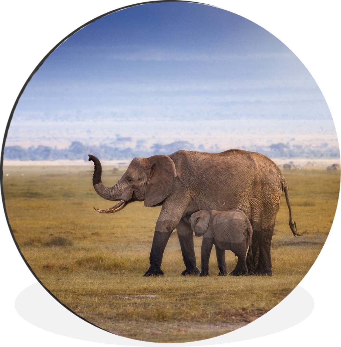 WallCircle - Wandcirkel - Muurcirkel - Natte poten van een baby olifant en zijn moeder - Aluminium - Dibond - 120x120 cm - Binnen en Buiten XXL