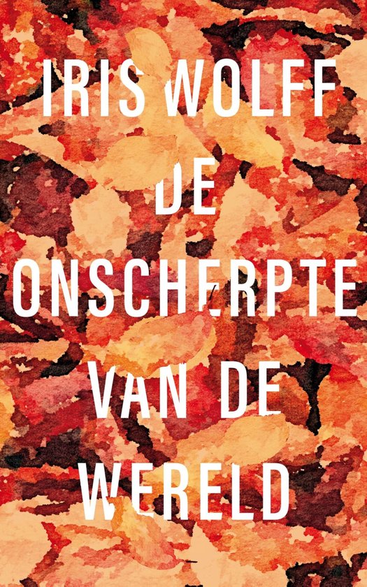 De onscherpte van de wereld - cover
