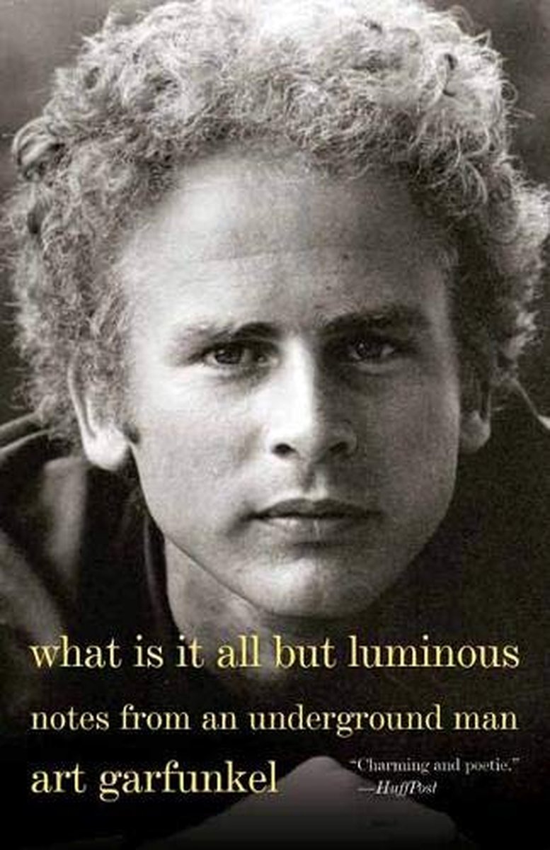 What Is It All but Luminous - Art Garfunkel