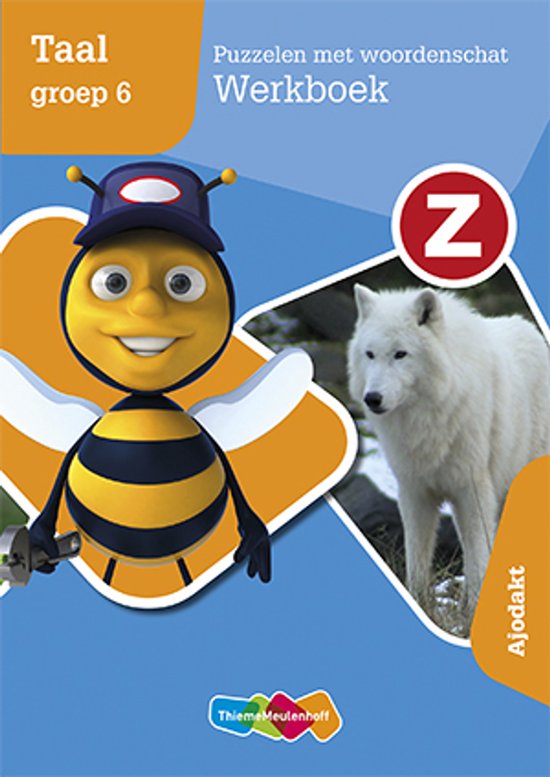 Z-taal Puzzelen met woordenschat groep 6 Werkboek - cover