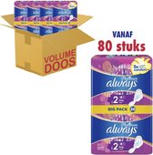 Platinum Long Maat 2 Maandverband met vleugels