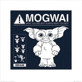 Pyramid Gremlins Mogwai Rules Kunstdruk 40x40cm Poster - 40x40cm