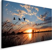 Schilderij - Ganzen bij Zonsondergang, Premium Print