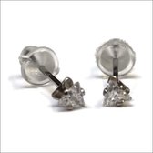 Aramat jewels ® - Zirkonia zweerknopjes driehoek 3mm oorbellen transparant chirurgisch staal