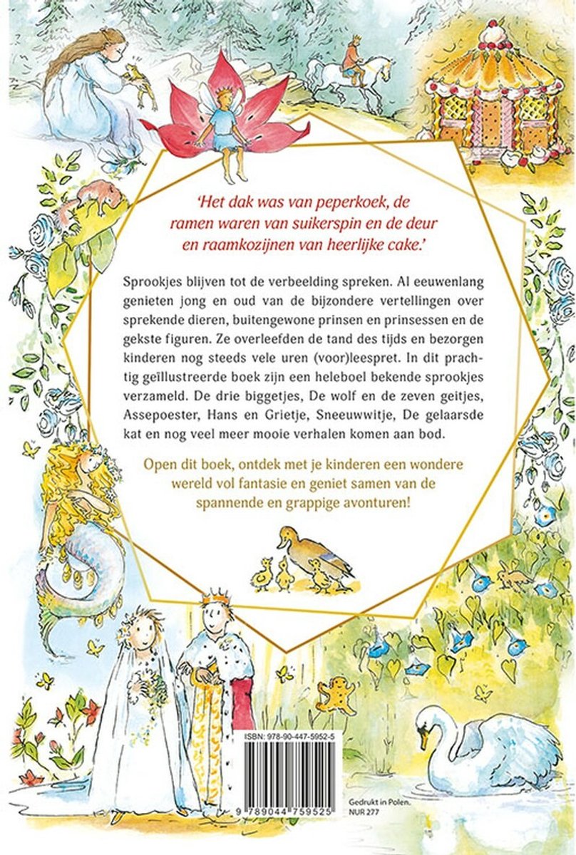 Deltas wondere sprookjesschat - back cover
