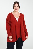 Paprika Dames Lange cardigan in effen, warm tricot - T-shirt - Maat 48