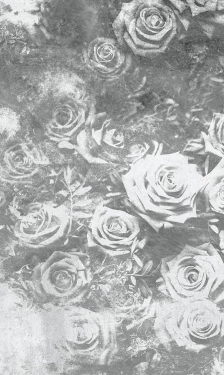 Fotobehang - Roses Abstract II 150x250cm - Vliesbehang