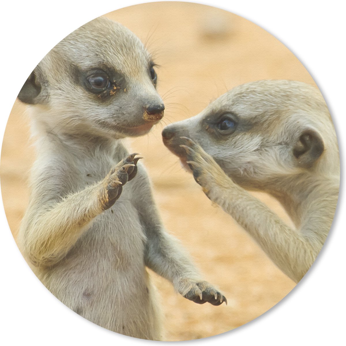 Muismat rond 20x20 cm - Mousepad Stokstaartjes - Bruin - Dier - Ronde muismatten
