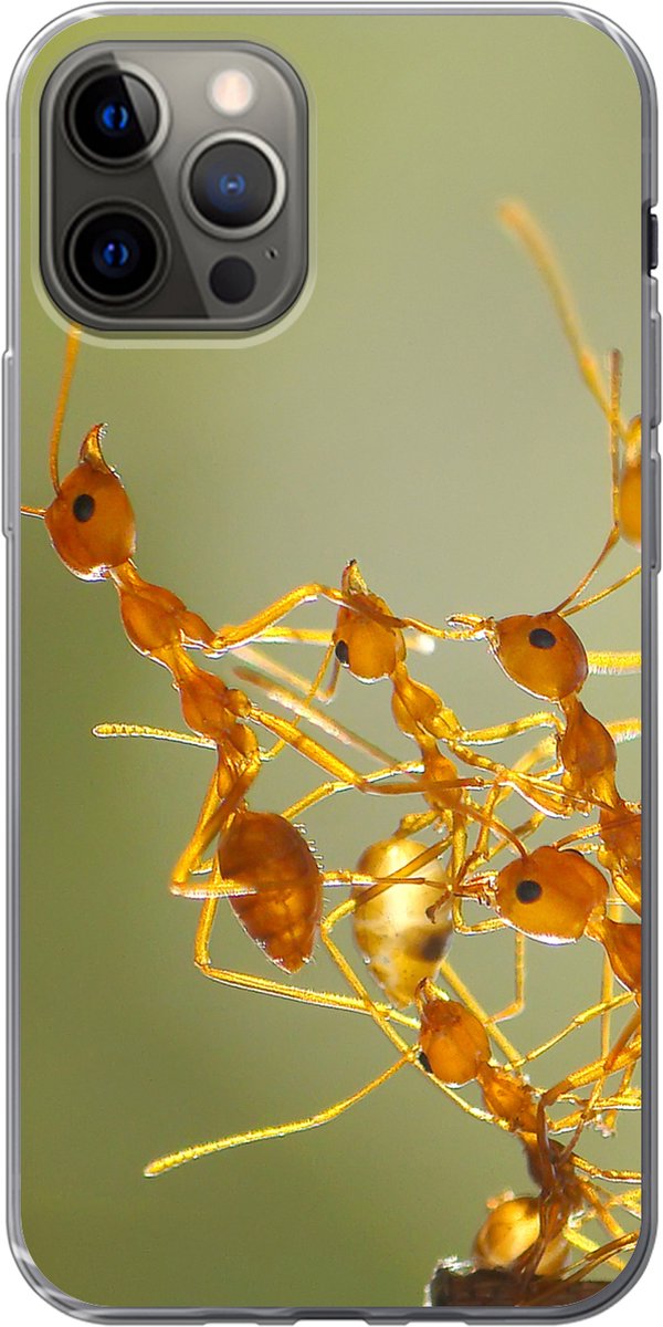 Telefoonhoesje Geschikt voor iPhone 13 Pro hoesje - Mieren - Oranje - Dieren - Siliconen Telefoonhoesje Telefoonhoesje