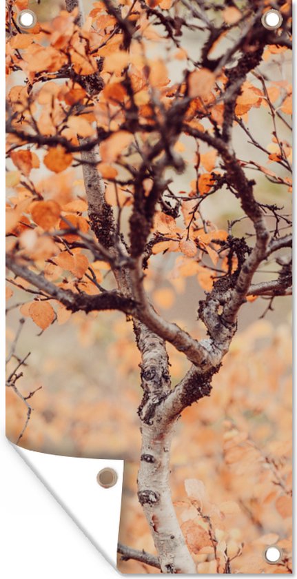 Affiche de jardin Automne - Branches - Feuilles - 30x60 cm