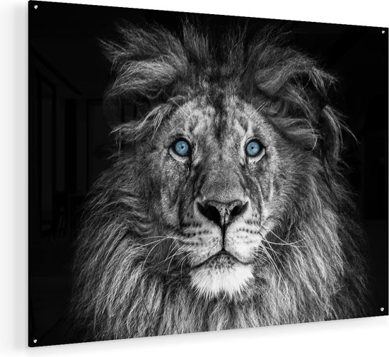 Artaza Glasschilderij - Leeuw Met Blauwe Ogen - Zwart Wit - 120x90 - Groot - Plexiglas Schilderij - Foto op Glas