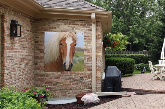 Toile de jardin un cheval islandais - 100x100 cm