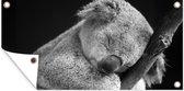 Tuinposter Koala - Slapen - Zwart - Kids - Jongens - Meiden - 80x40 cm - Wanddecoratie Buiten - Tuinposter - Tuindoek - Schuttingposter - Tuinschilderij