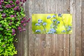 Tuinposter Groep vergeet-mij-nietjes - 80x40 cm - Wanddecoratie Buiten - Tuinposter - Tuindoek - Schuttingposter - Tuinschilderij