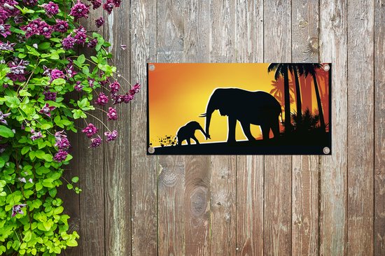 Le lion et sa lionne au coucher du soleil