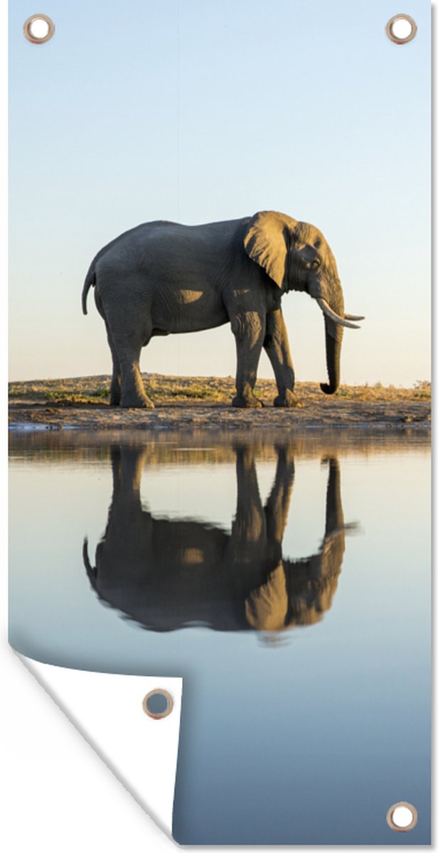 Décoration murale murale d'extérieur Éléphant à la flaque d'eau