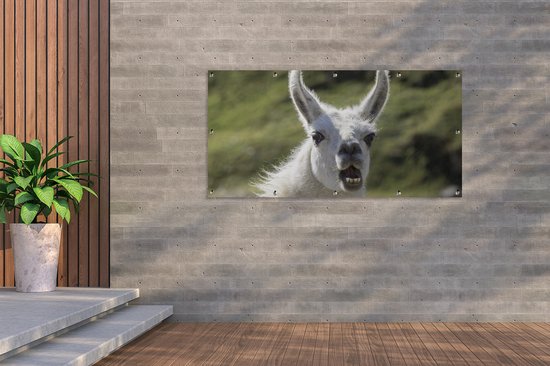 Affiche de clôture Lama - Drôle - Enfants - Garçons - Filles - Kids - 200x100 cm - Toile de jardin