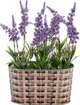 Ibergarden Bloempot 22,5 X 11,5 X 12 Cm Staal Bruin