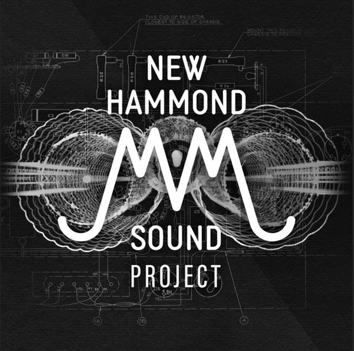 Carlo De Wijs - New Hammond Sound Project (LP)