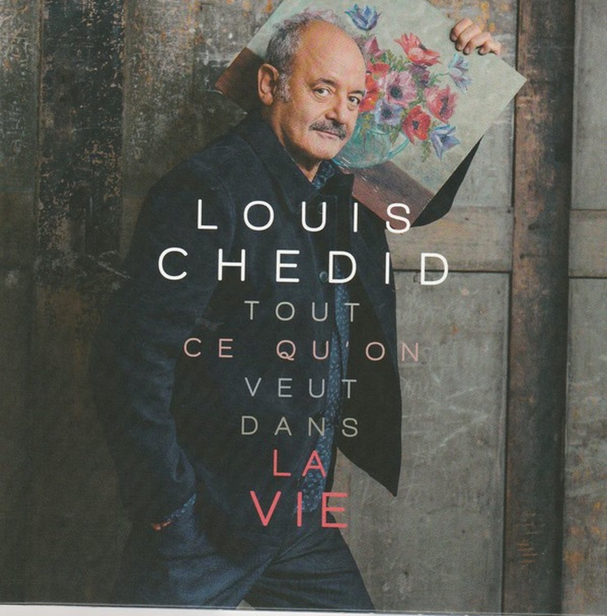 Louis Chedid - Tout Ce Qu'on Veut Dans La Vie (LP)