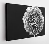 Canvas schilderij - Stylish bouquet. Botany concept. Beautiful silver flowers. Floral shop. Metallic steel or golden color. Metal flowers. Eternal beauty. Fashion and beauty. Flowe