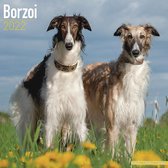 Borzoi - Russischer Wolfshund 2022